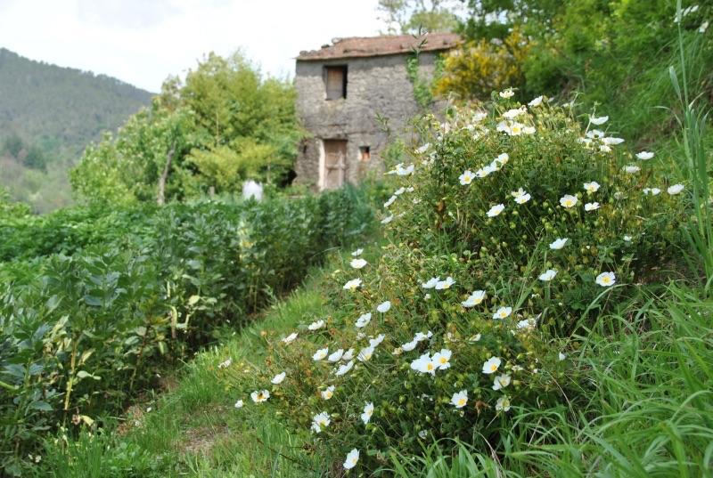 Il Ghiro B&B Ricco del Golfo di Spezia Luaran gambar