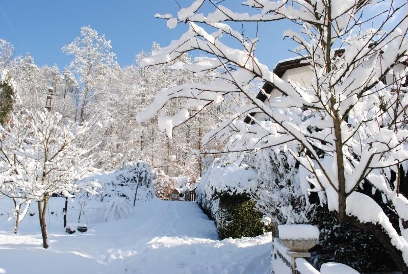 Il Ghiro B&B Ricco del Golfo di Spezia Luaran gambar