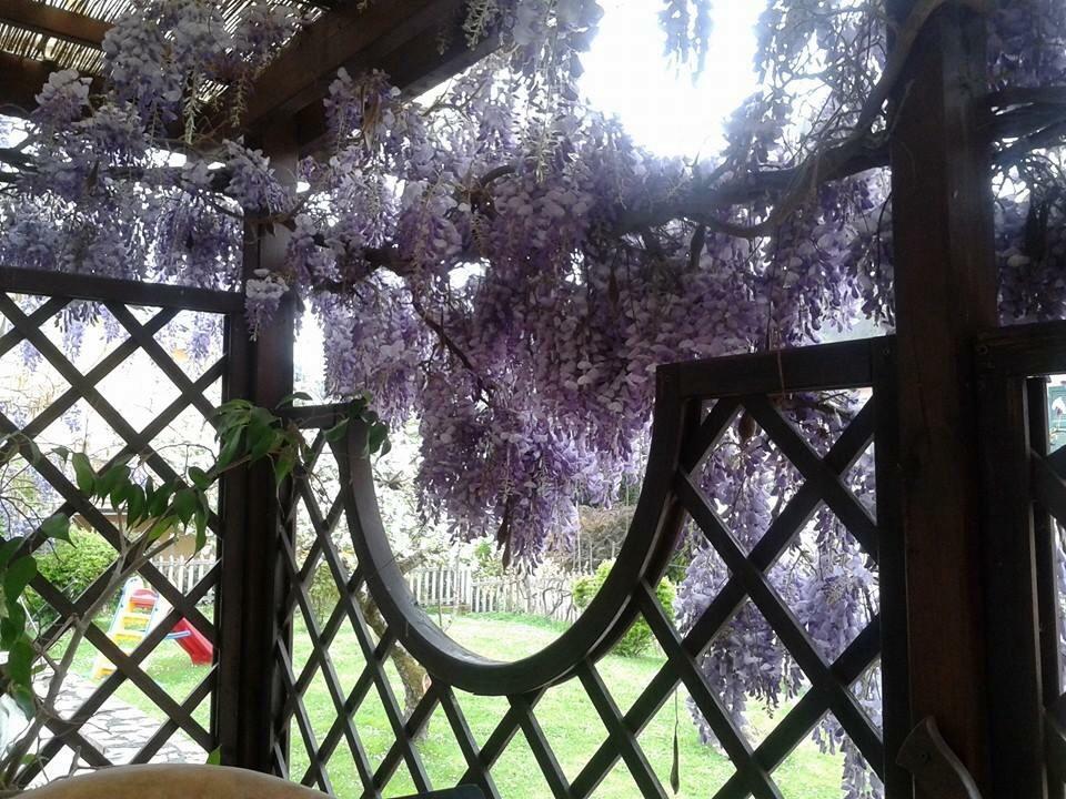 Il Ghiro B&B Ricco del Golfo di Spezia Luaran gambar