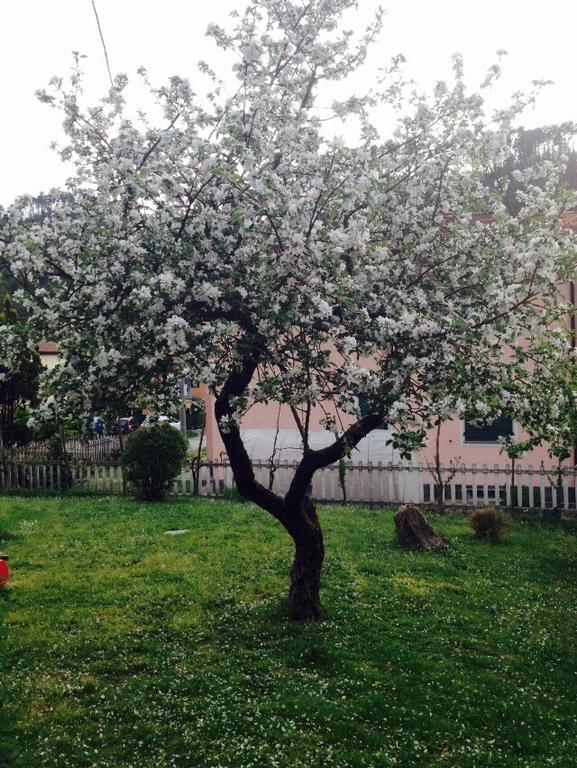 Il Ghiro B&B Ricco del Golfo di Spezia Luaran gambar