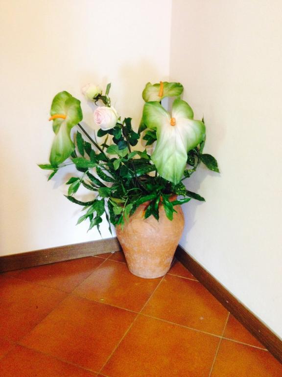 Il Ghiro B&B Ricco del Golfo di Spezia Luaran gambar
