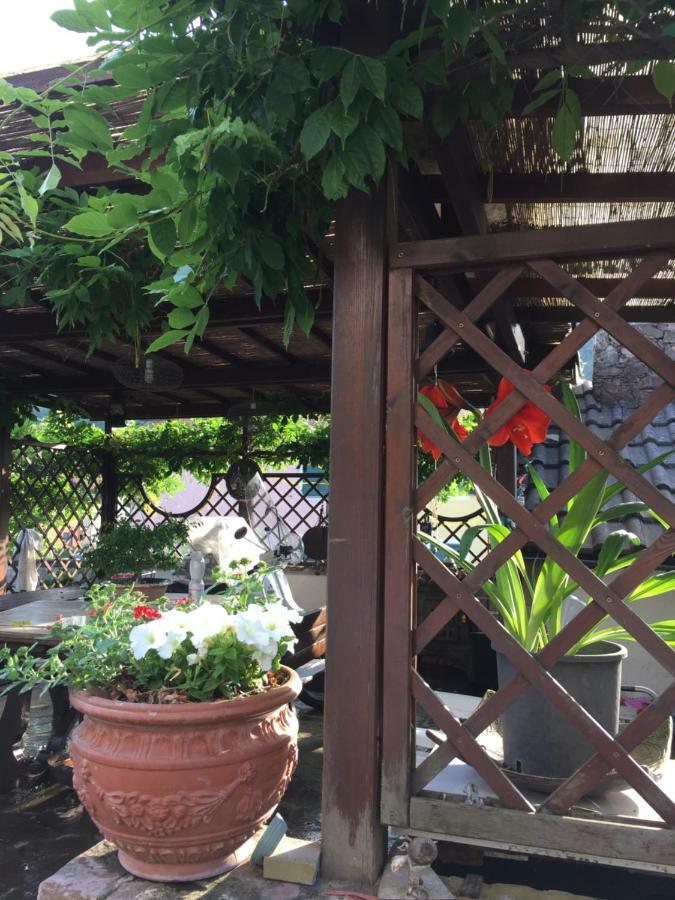 Il Ghiro B&B Ricco del Golfo di Spezia Luaran gambar