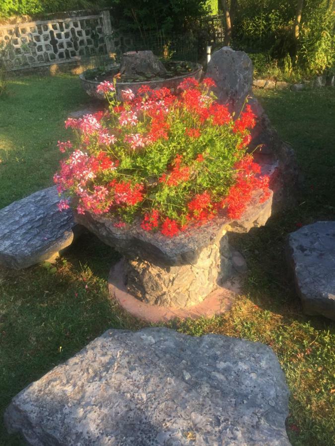 Il Ghiro B&B Ricco del Golfo di Spezia Luaran gambar